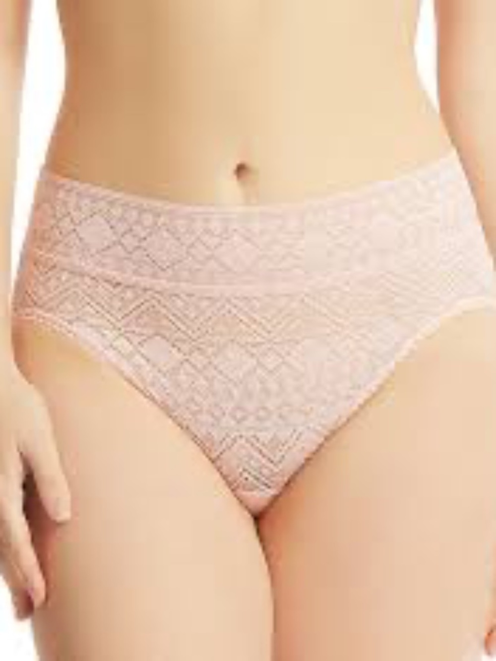 Hanky Panky Gem Lace French Brief (492462) - Sweet Chamomile - size small - NWT